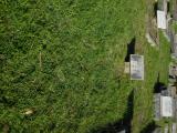 image of grave number 760311
